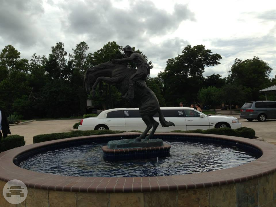 12 Passenger White Stretch Limousine
Limo /
Tomball, TX

 / Hourly $0.00
