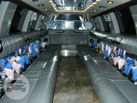 18 & 22-24 Passenger Ford Excursions
Limo /
Coal City, IL

 / Hourly $0.00
