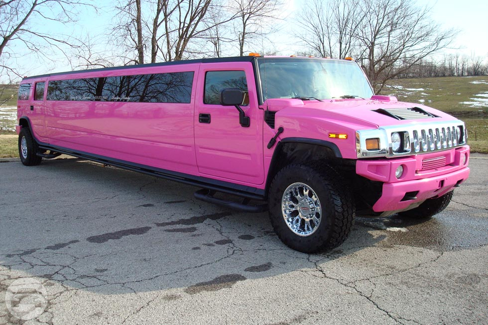 SUV Pink Hummer Limo
Limo /
Uniondale, NY

 / Hourly $0.00
