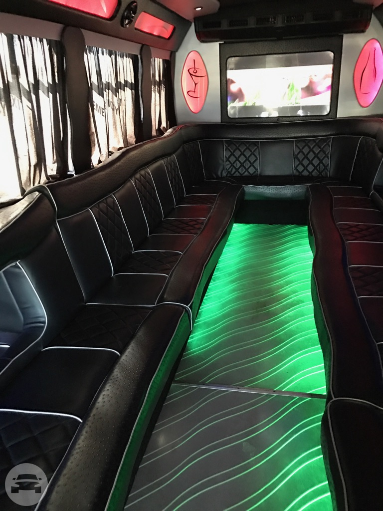 30 Passenger Party Bus
Party Limo Bus /
Duncanville, TX

 / Hourly $0.00
