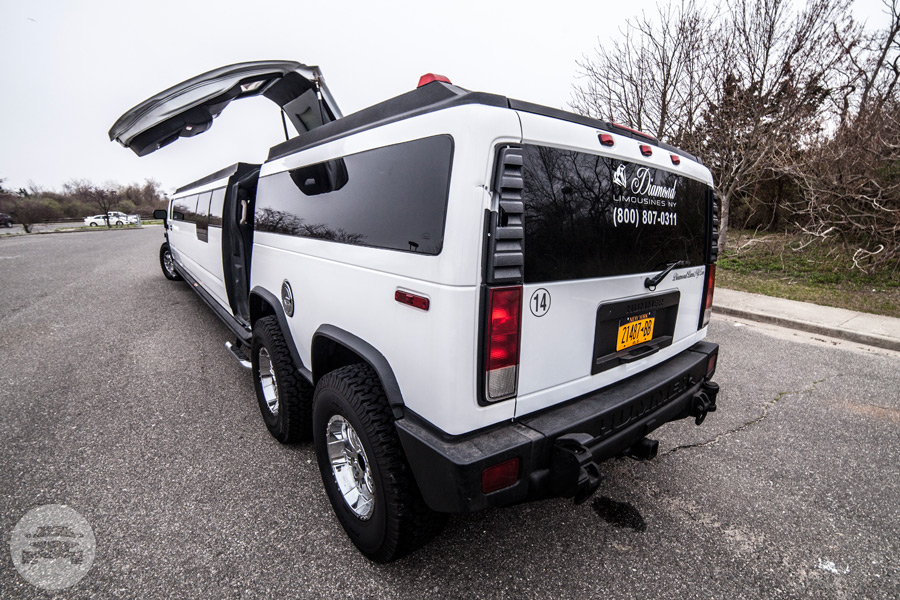 Hummer H2 High Roller Edition
Limo /
New York, NY

 / Hourly $150.00
