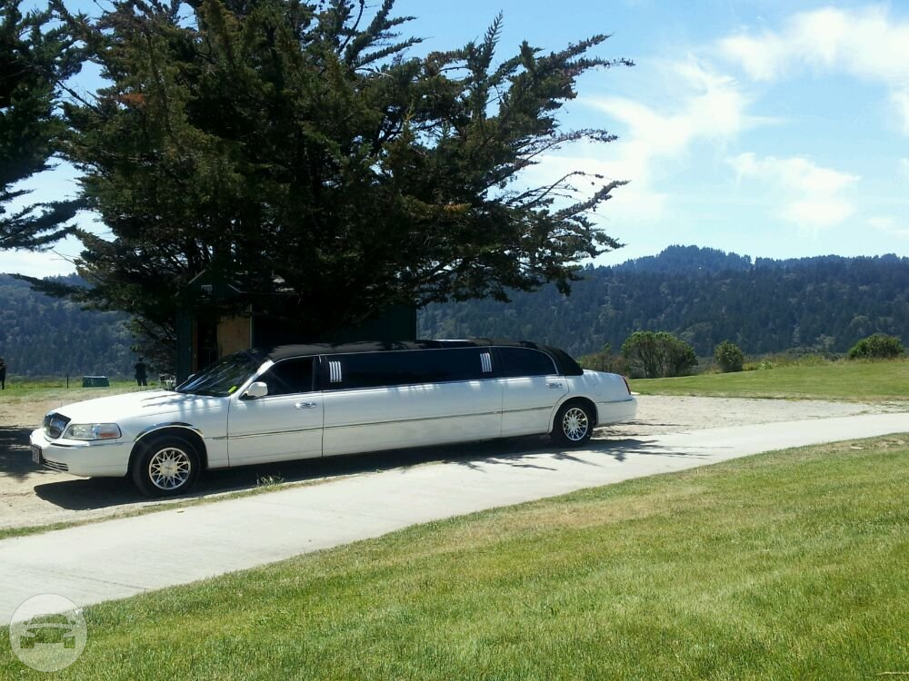 8 to 10 Passenger White Stretch Limo
Limo /
San Francisco, CA

 / Hourly $0.00
