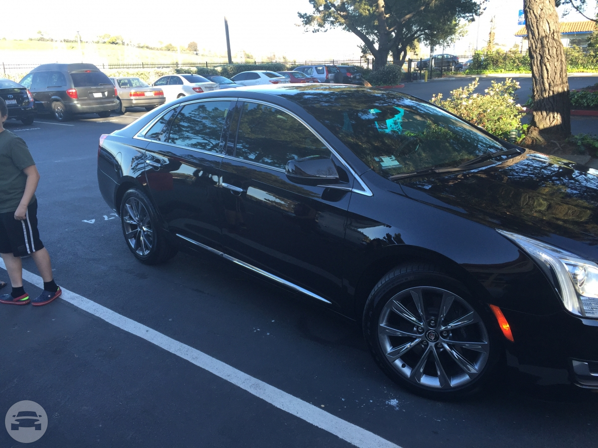 Cadillac XTS
Sedan /
Sonoma, CA 95476

 / Hourly $0.00
