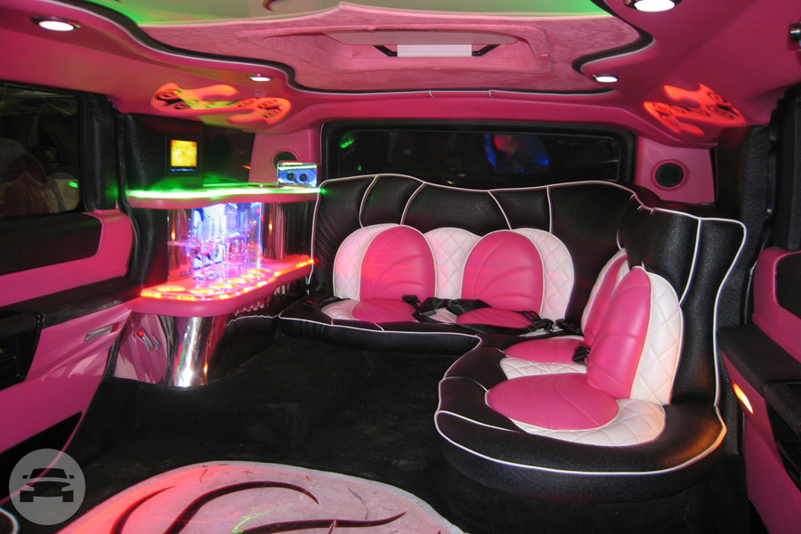 Pink Hummer H2 Jet Doors
Limo /
Newark, NJ

 / Hourly $150.00
