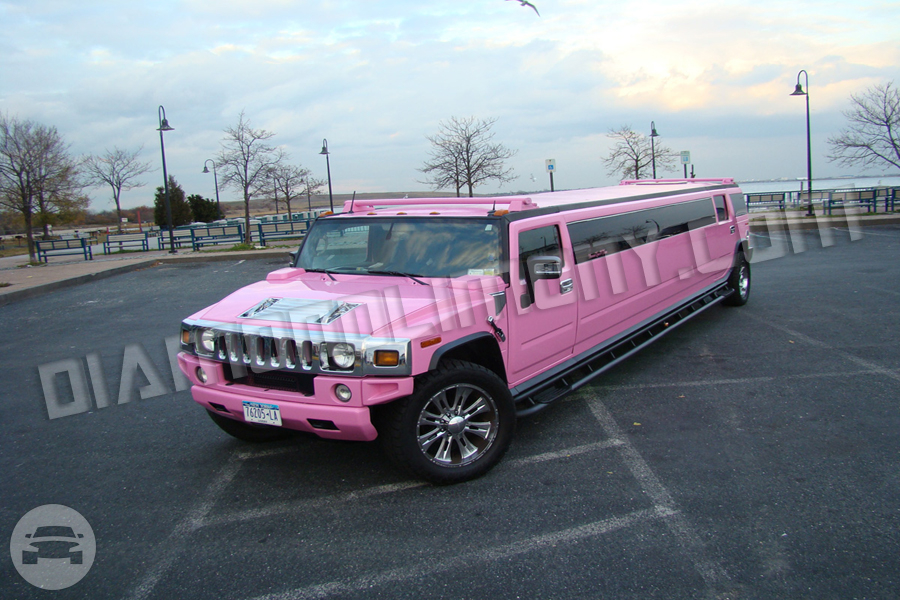 Pink Hummer H2 Jet Doors
Limo /
New York, NY

 / Hourly $150.00
