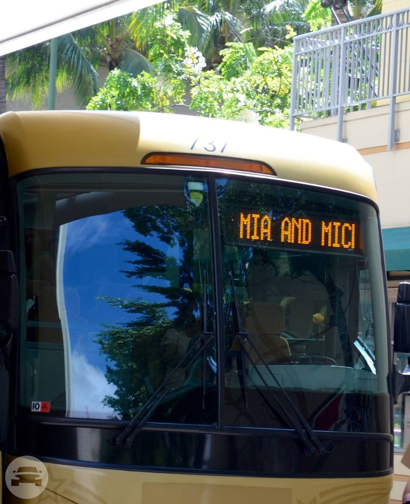 Gold MCI 4500 Series Motorcoach
Coach Bus /
Honolulu, HI

 / Hourly $179.00
