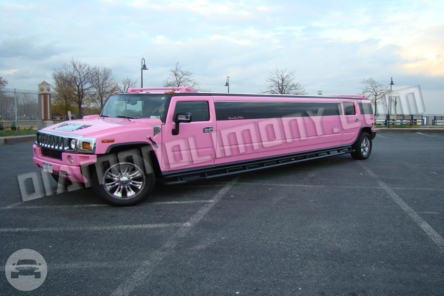 Pink Hummer H2 Jet Doors
Limo /
Newark, NJ

 / Hourly $150.00
