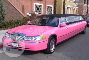 Pink Lincoln Stretch Limousine
Limo /
Palo Alto, CA

 / Hourly $0.00
