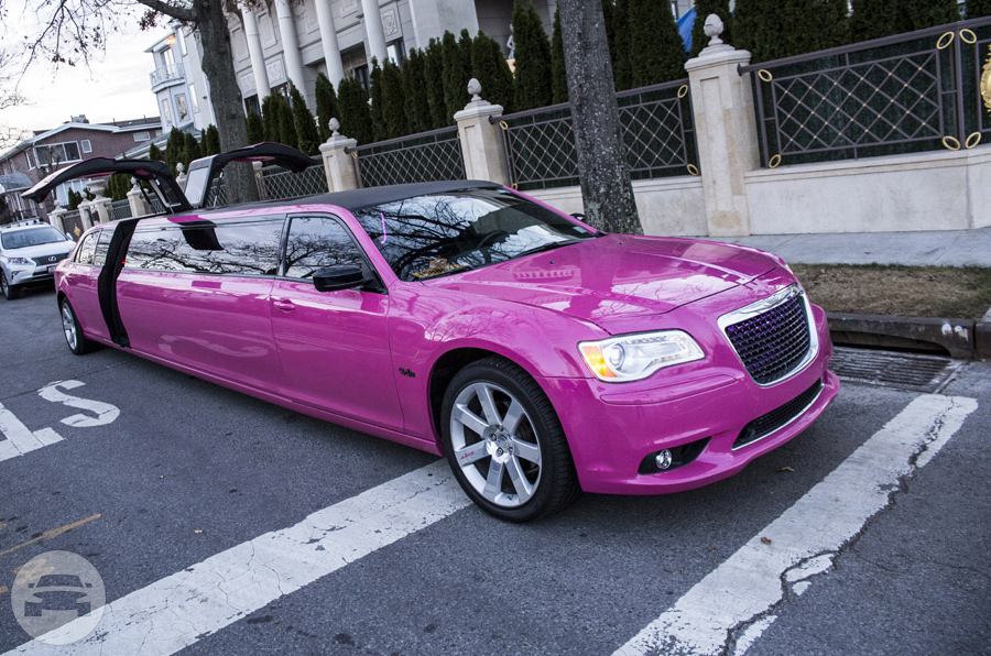 Pink Chrysler 300 EXOTIC Edition Jet Doors Limo
Limo /
Newark, NJ

 / Hourly $100.00
