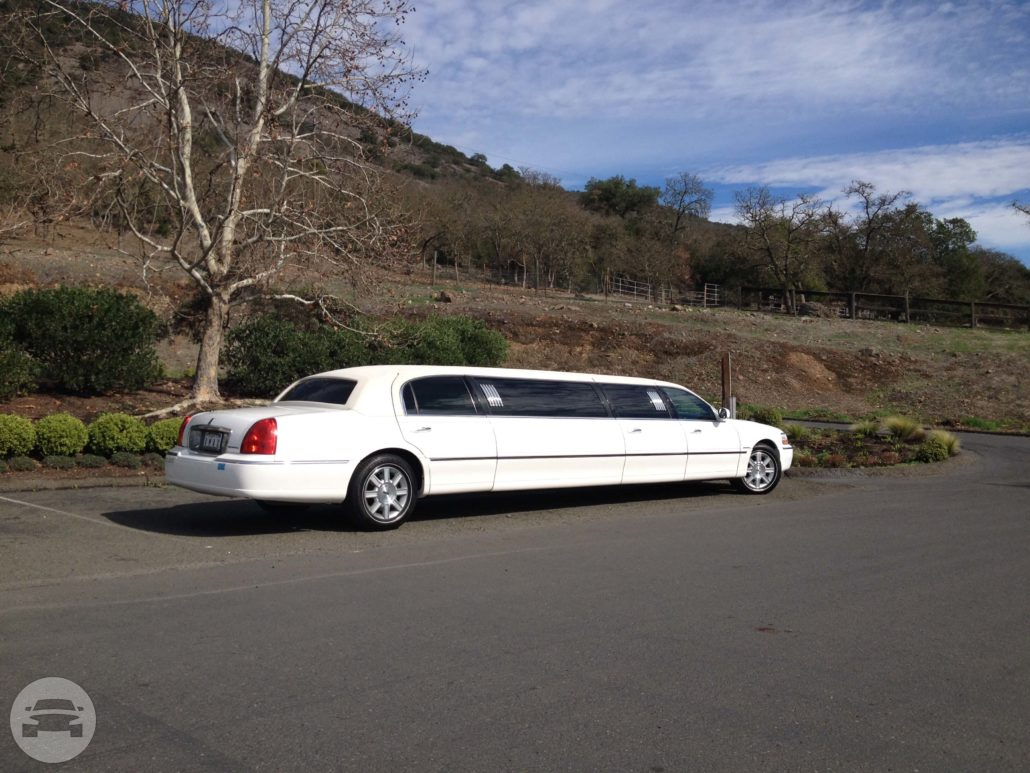 White Limousine
Limo /
Orinda, CA

 / Hourly $95.00
