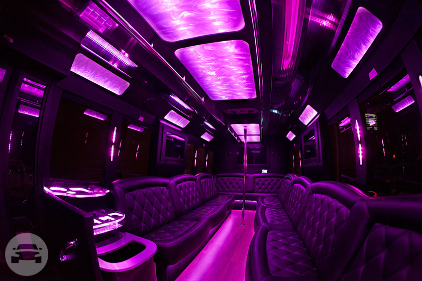 The Amazing 18 pax Party Bus Limo
Party Limo Bus /
Detroit, MI

 / Hourly $0.00
