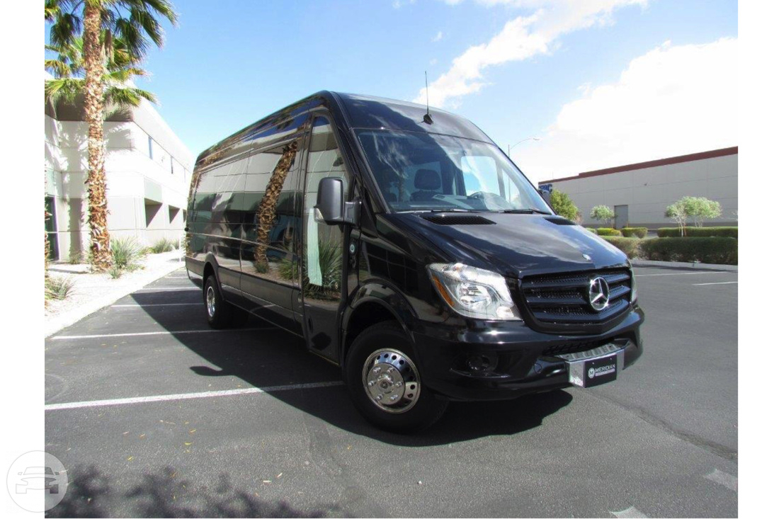 15 passenger Mercedes Sprinter (black)
Van /
Temecula, CA

 / Hourly $125.00
