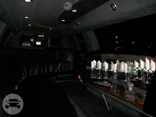 10 Passenger Black Stretch Limousine
Limo /
Spring, TX 77373

 / Hourly $0.00
