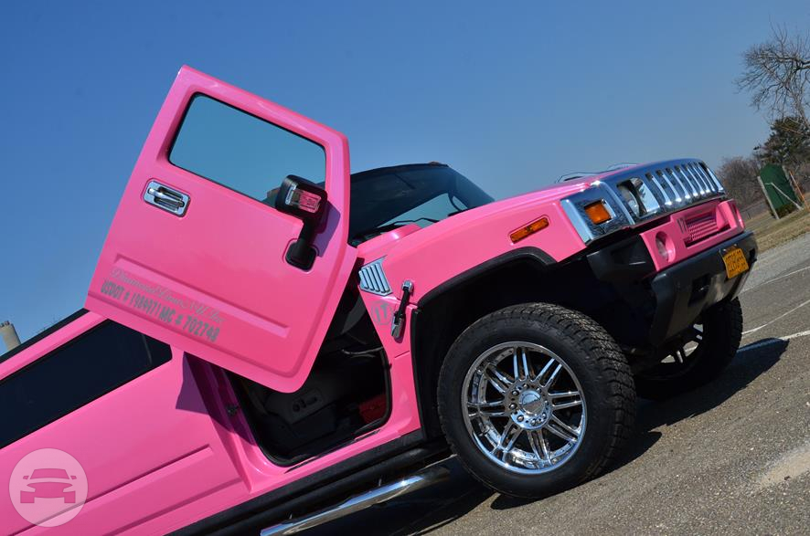 Pink Stretched H2 Hummer Limousine, Lambo
Limo /
Jersey City, NJ

 / Hourly $150.00
