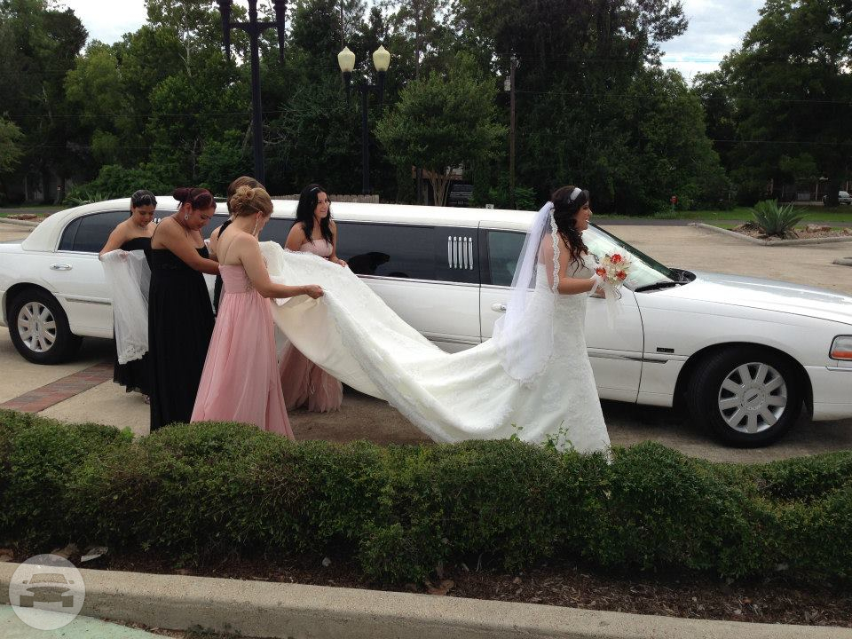 12 Passenger White Stretch Limousine
Limo /
Spring, TX 77373

 / Hourly $0.00

