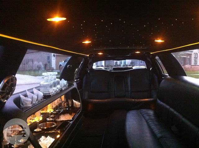 10 Passenger Black Stretch Limousine
Limo /
Bellaire, TX 77401

 / Hourly $0.00
