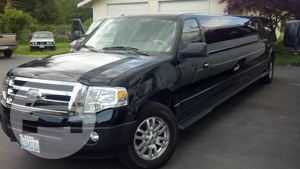 Ford Expedition Stretch
Limo /
Kent, WA

 / Hourly $0.00
