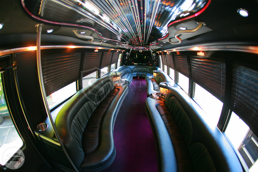 VIP Limo Coach Bus
Party Limo Bus /
New York, NY

 / Hourly (Other services) $175.00
