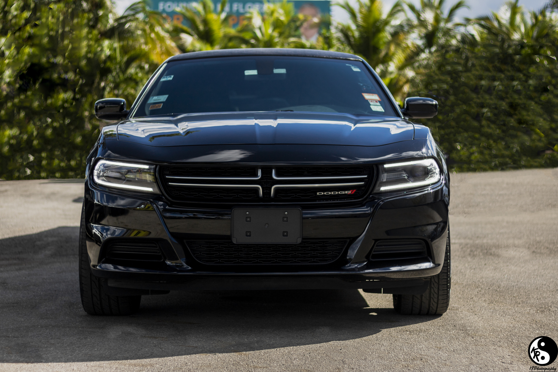 NEW 2016 Dodge Charger Black Panther
Limo /
Boca Raton, FL

 / Hourly $0.00
