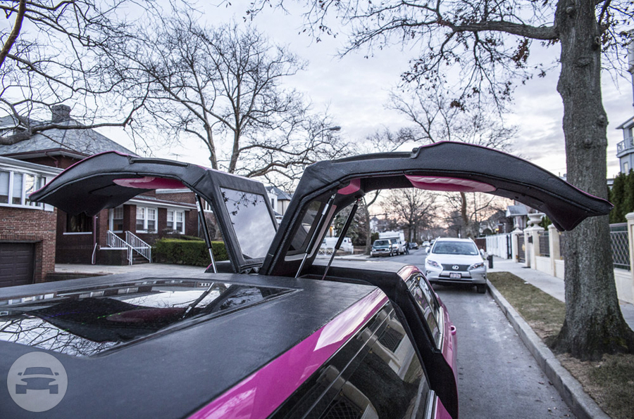 Pink Chrysler 300 EXOTIC Edition Jet Doors Limo
Limo /
Jersey City, NJ

 / Hourly $100.00
