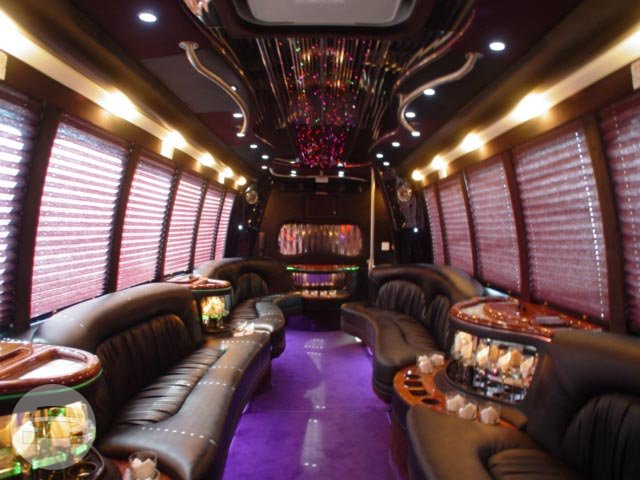 20 PASSENGER KRYSTAL LIMO BUS - BLACK
Party Limo Bus /
The Woodlands, TX

 / Hourly $150.00
