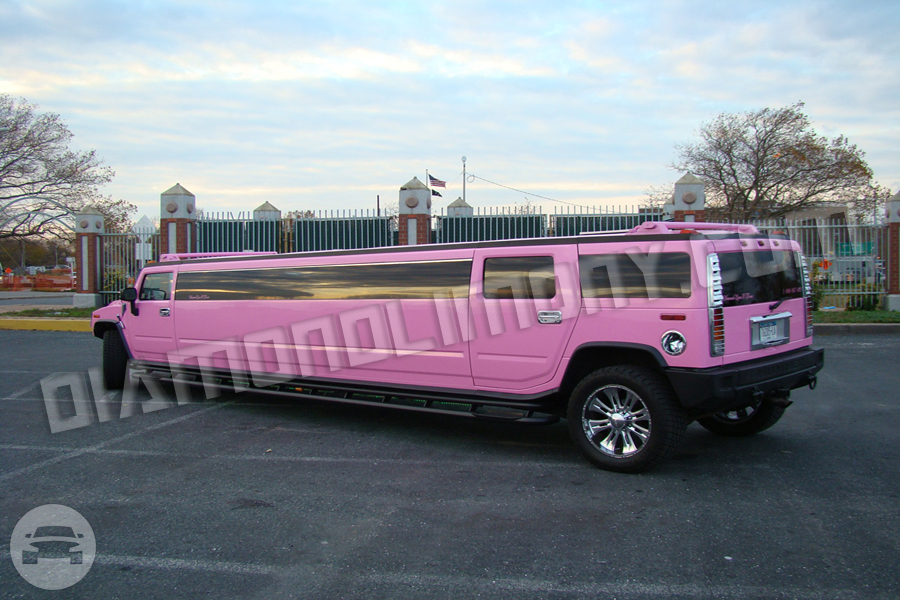 Pink Hummer H2 Jet Doors
Limo /
New York, NY

 / Hourly $150.00
