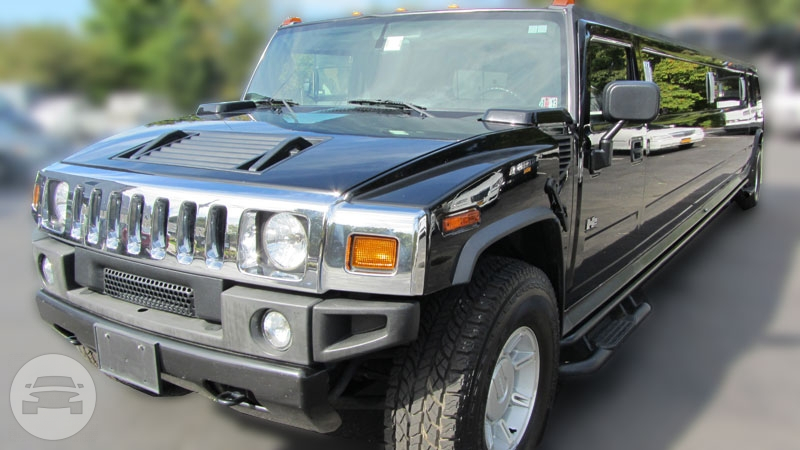 H2 HUMMER 18 PASS IN BLACK AND WHITE
Hummer /
New York, NY

 / Hourly $0.00
