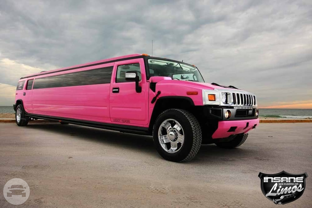 Pink Hummer H2
Hummer /
Lewisville, TX

 / Hourly $0.00
