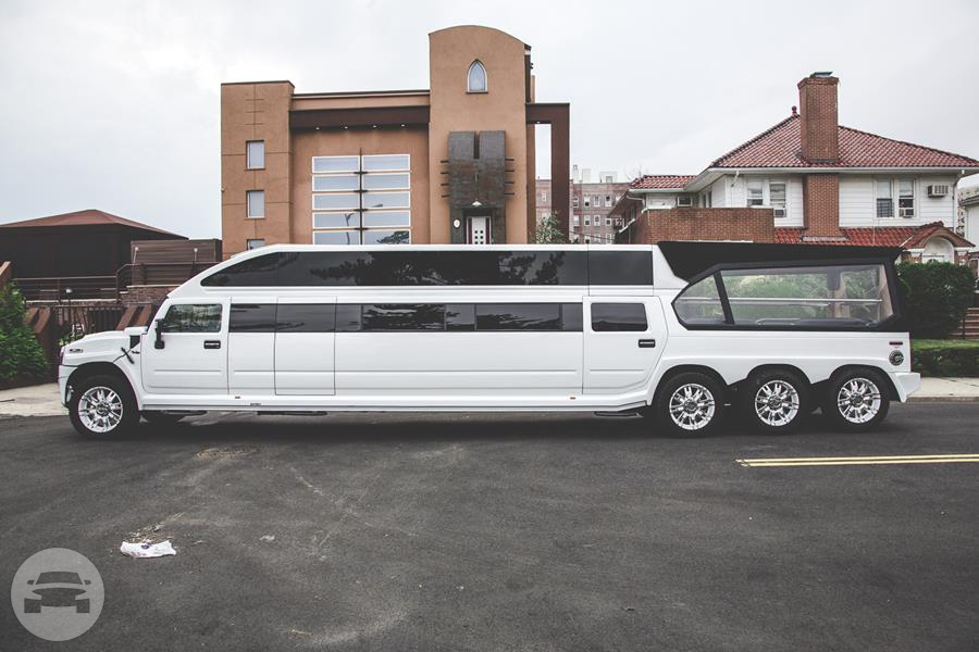 Hummer H2 Transformer
Party Limo Bus /
Jersey City, NJ

 / Hourly $225.00
