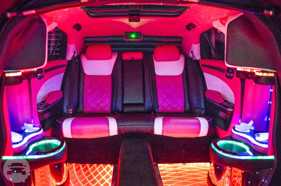 Pink Chrysler 300 EXOTIC Edition Jet Doors Limo
Limo /
New York, NY

 / Hourly $100.00
