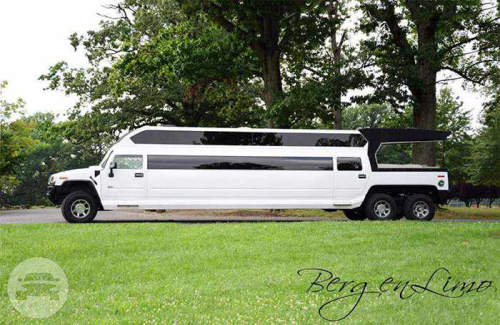 Kauai North Shore Limousine Lincoln Town Cars | Kauai North Shore Limousine: online reservation