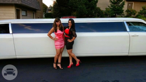 Aloha Limousine North Bend Wa Lincoln Navigator SUV - Silver | Liberty International Car & Limousine