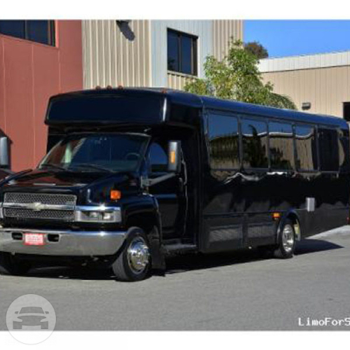 Ambassador Limousine Houston Texas Mercedes Sprinter | A Ambassador Houston Limousine & Transportation