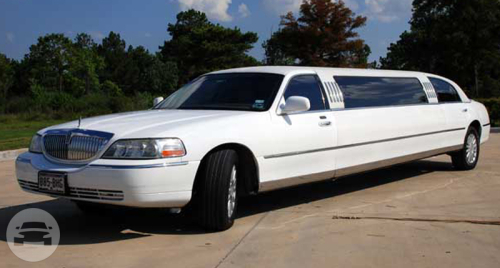 Amys Limousine In Mukilteo White 26 Passenger Party Bus | Luxe Limousines, LLC: online reservation