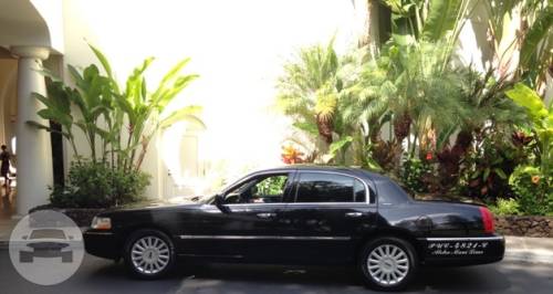 Online Reservation For Aloha Maui Limousine Lowest Rates Guaranteed