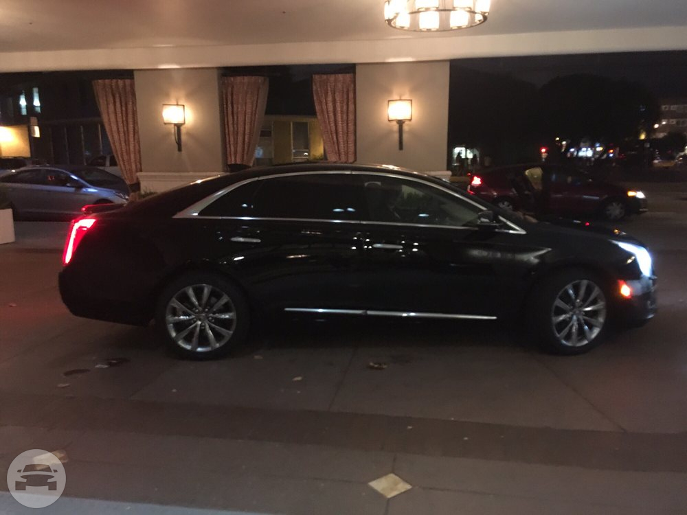 2015 Cadillac XTS
Sedan /
San Francisco, CA

 / Hourly $0.00
