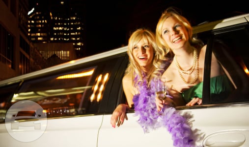 White 300 Stretch Limo
Limo /
Dallas, TX

 / Hourly $0.00
