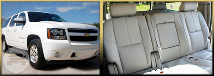 White Luxury Chevrolet Suburban SUV
SUV /
Dallas, TX

 / Hourly $0.00
