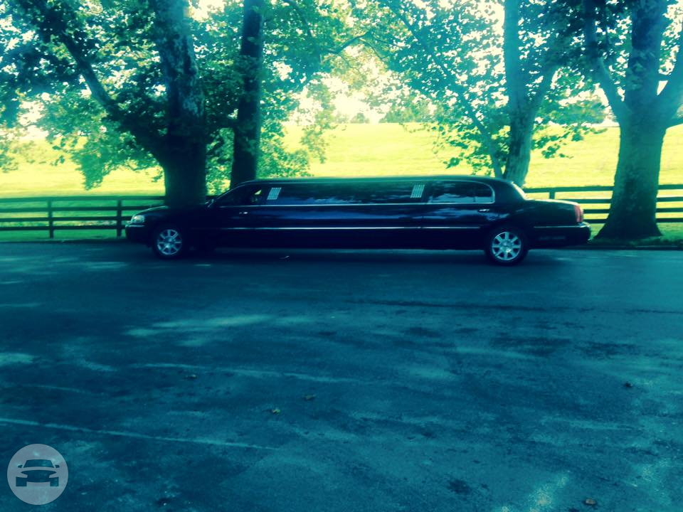8 Passenger Executive Lincoln Town Car Stretch
Limo /
Lexington, KY

 / Hourly $0.00
