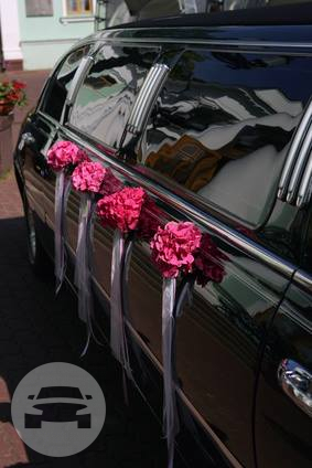 Black Stretch Limousine
Limo /
San Francisco, CA

 / Hourly $0.00
