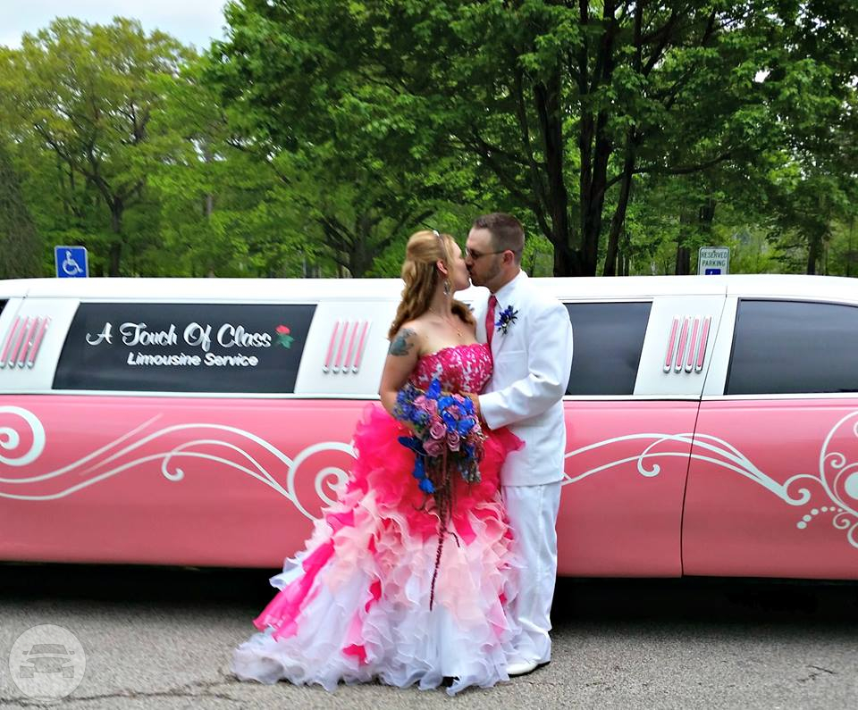 Pink Limousine
Limo /
Akron, OH

 / Hourly $0.00
