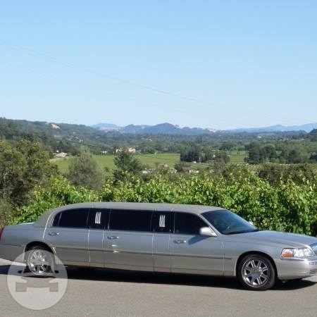 Gray Lincoln 6 Passenger Stretch Limousine
Limo /
San Francisco, CA

 / Hourly $0.00
