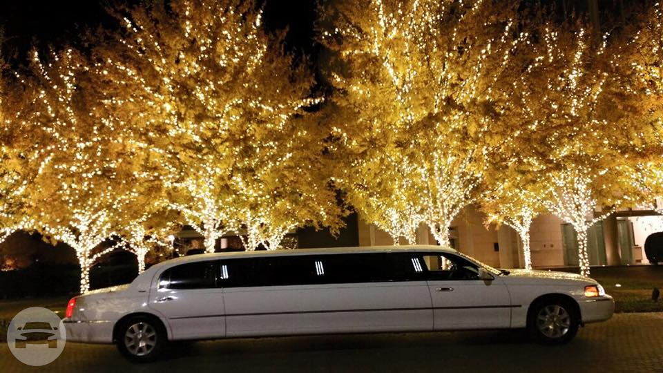 Classic White Lincoln Town Car Limousine
Limo /
Grand Prairie, TX

 / Hourly $0.00
