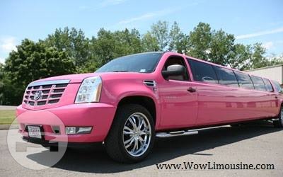 Pink Cadillac Escalade Limo
Limo /
Hialeah, FL

 / Hourly $0.00

