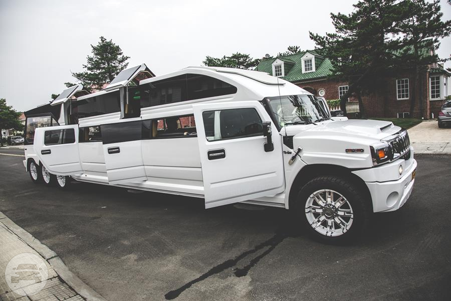 Hummer H2 Transformer
Party Limo Bus /
New York, NY

 / Hourly $225.00
