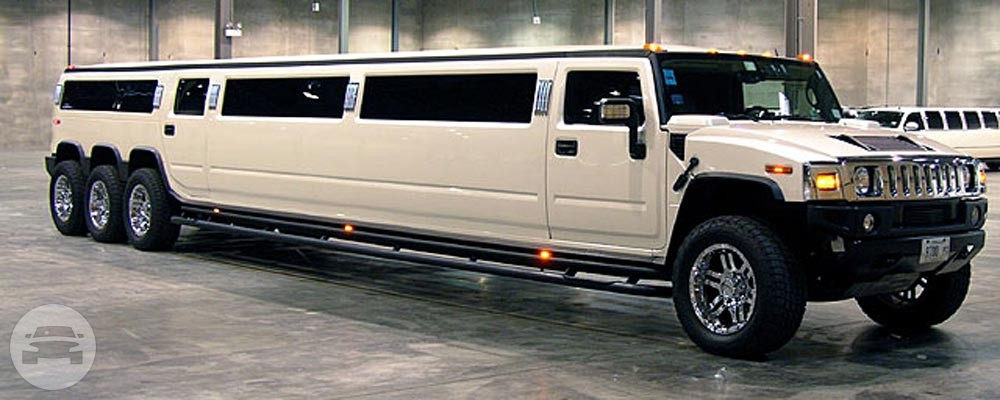 Silver State Limo hummer
Hummer /
Las Vegas, NV

 / Hourly $0.00

