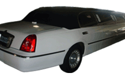 White Stretch Limousines - 8 Passenger
Limo /
San Francisco, CA

 / Hourly $0.00
