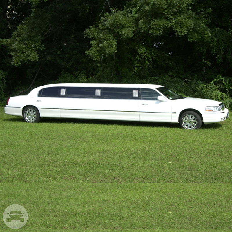 10 Passenger White Lincoln Stretch Limousine
Limo /
Orlando, FL

 / Hourly $0.00
