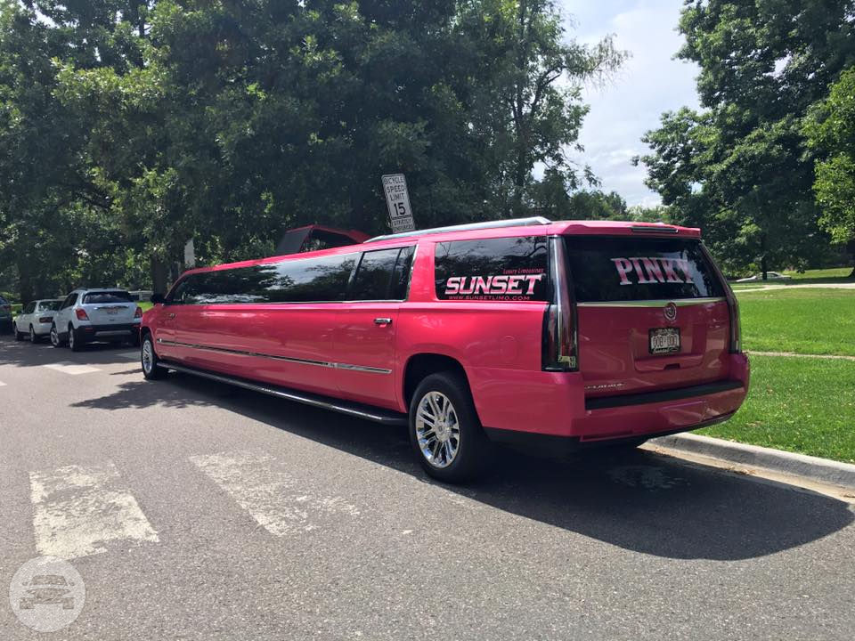 (20 Passenger) Pink Cadillac Escalade Gullwing
Limo /
Boulder, CO

 / Hourly $0.00
