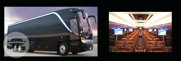 Luxury Motor Coach
Coach Bus /
Orlando, FL

 / Hourly $0.00
